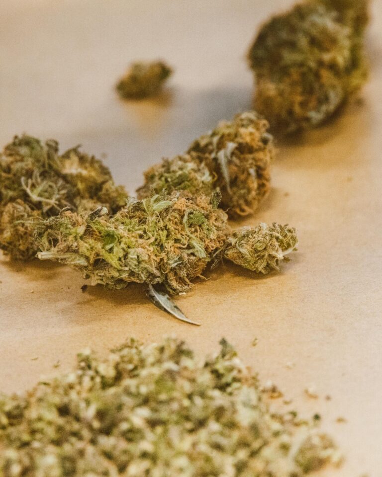 A detailed close-up of marijuana buds, highlighting texture and color.
