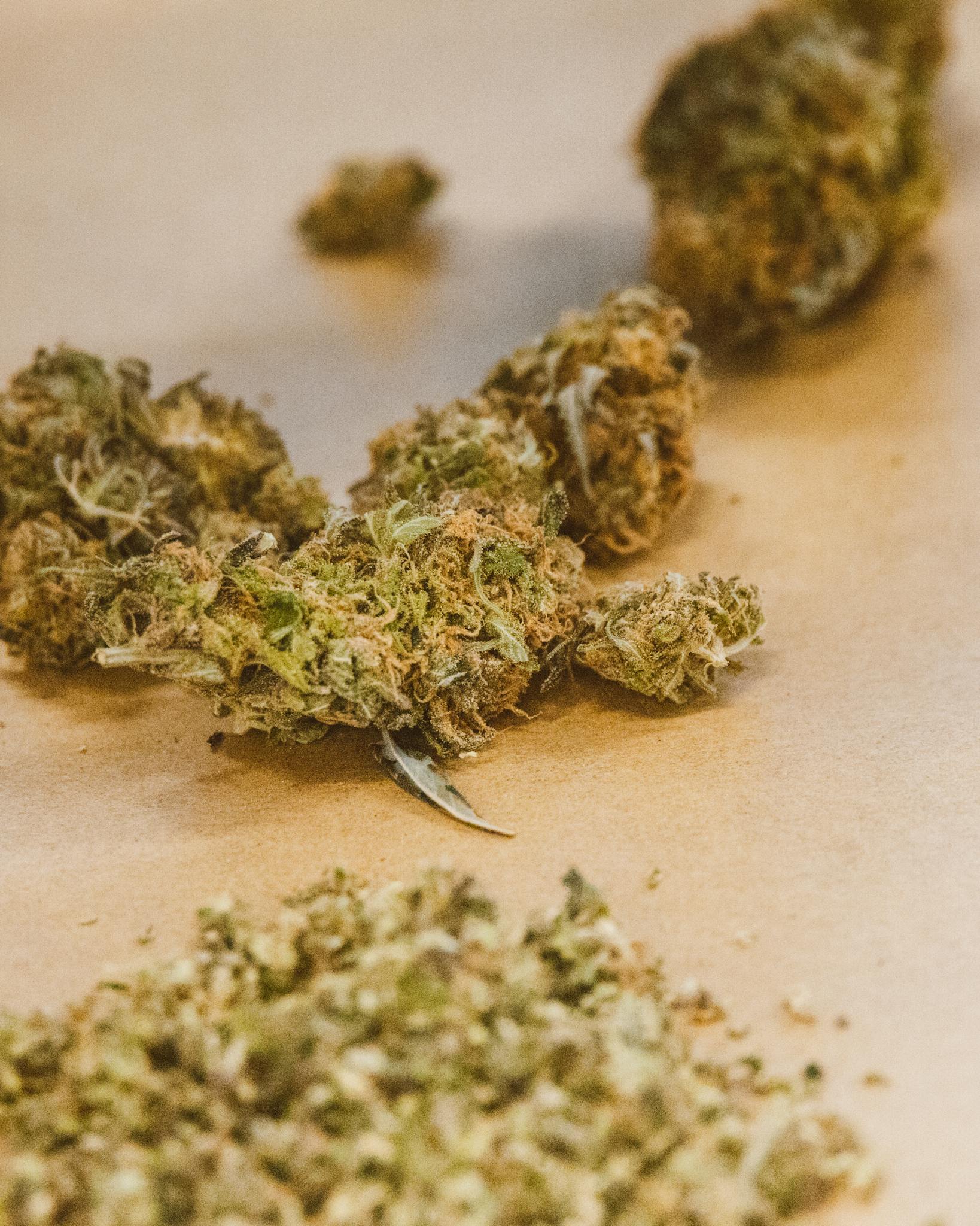 A detailed close-up of marijuana buds, highlighting texture and color.